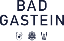 Del Europe / Wiener Saal Logo